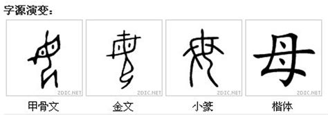 母字古字|漢字「母」：字形演變